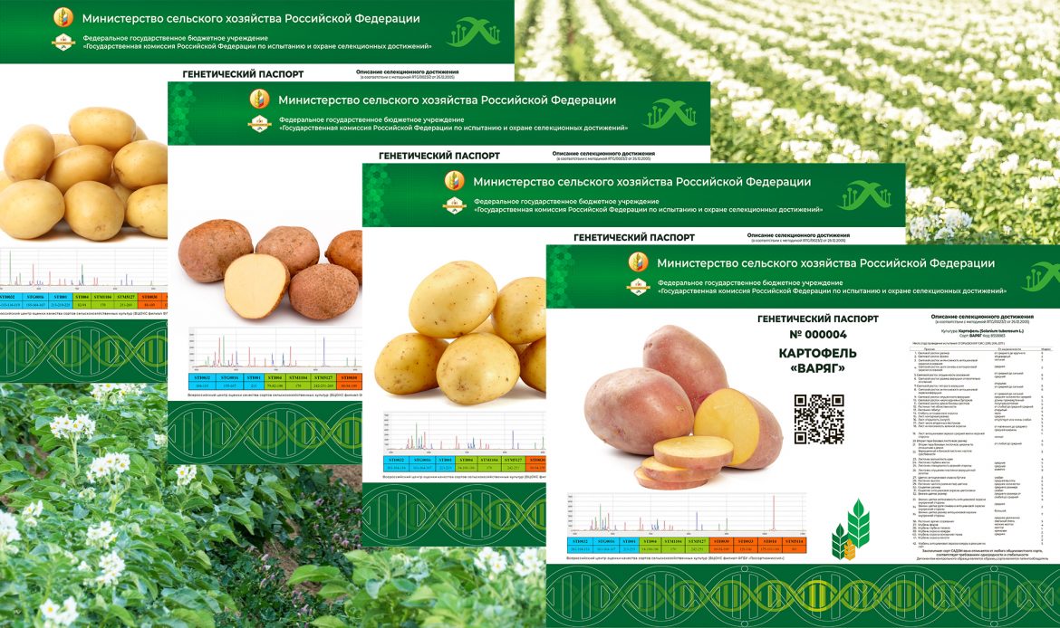 Создание сорта. Паспортизация сорта это. Паспортизация сельского хозяйства. Генетическая паспортизация растений. Генетический паспорт растений.