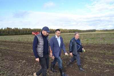 Развитие семеноводства в Новгородской области